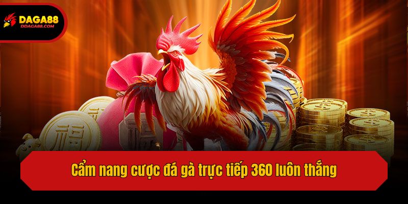 Cẩm nang cược đá gà trực tiếp 360 luôn thắng