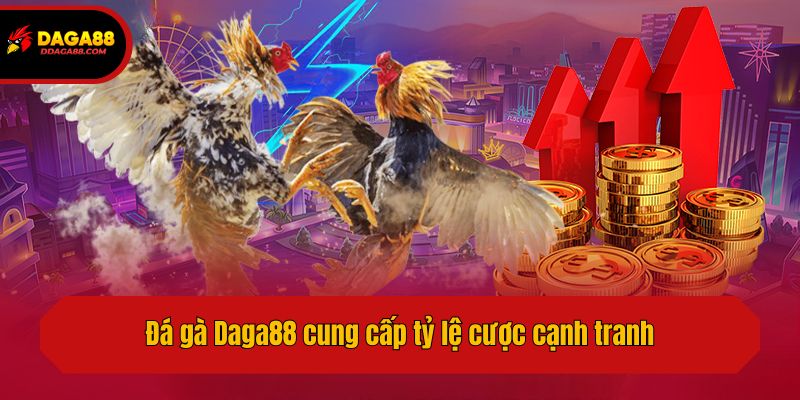 Đá gà Daga88 cung cấp tỷ lệ cược cạnh tranh