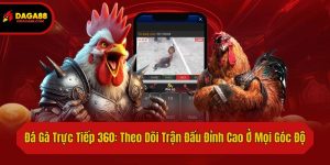 Đá Gà Trực Tiếp 360: Theo Dõi Trận Đấu Đỉnh Cao Ở Mọi Góc Độ