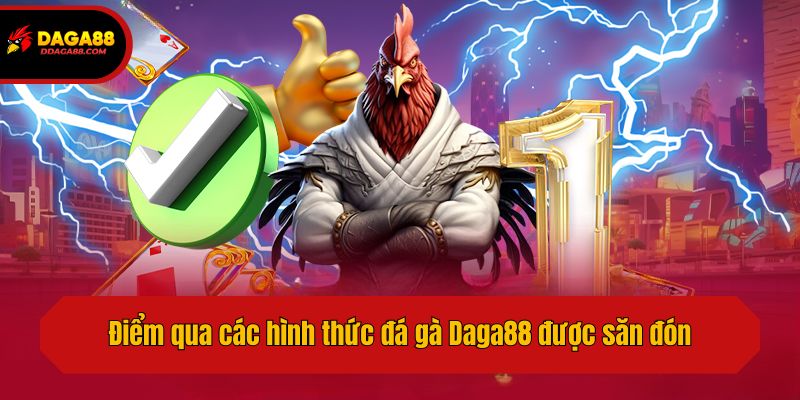 Điểm qua các hình thức đá gà Daga88 được săn đón