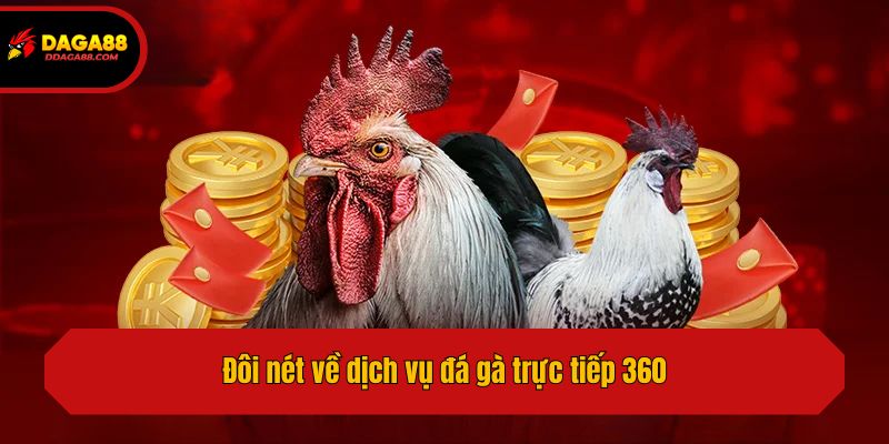 Đôi nét về dịch vụ đá gà trực tiếp 360