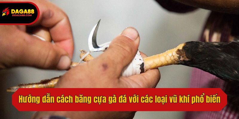 Hướng dẫn cách băng cựa gà đá với các loại vũ khí phổ biến