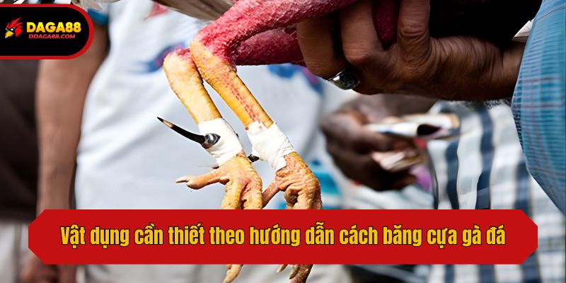 Vật dụng cần thiết theo hướng dẫn cách băng cựa gà đá